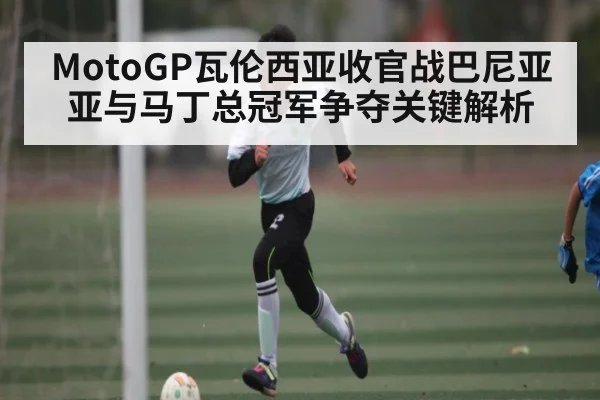 MotoGP瓦伦西亚收官战巴尼亚亚与马丁总冠军争夺关键解析